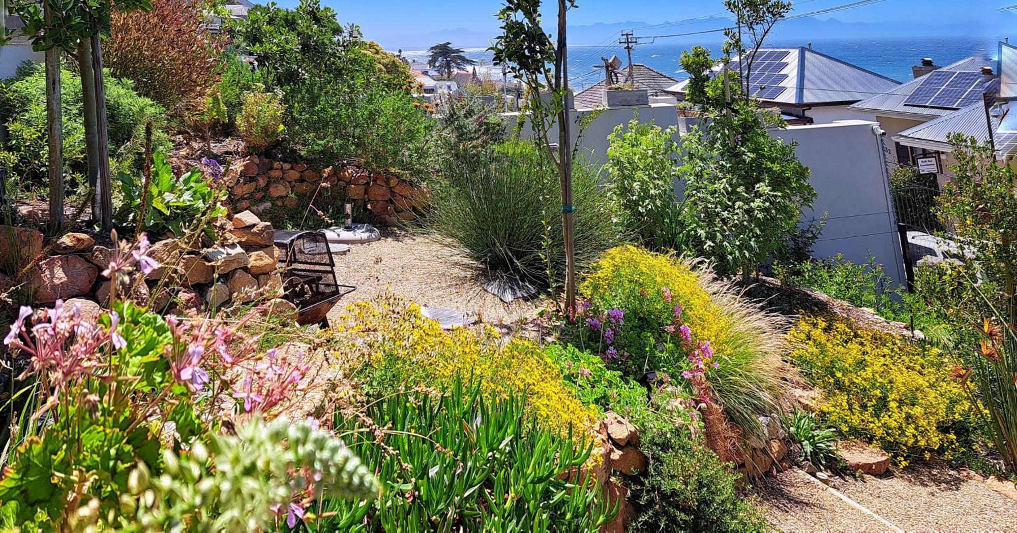 The Dragon Tree Guesthouse Kalk Bay Luaran gambar